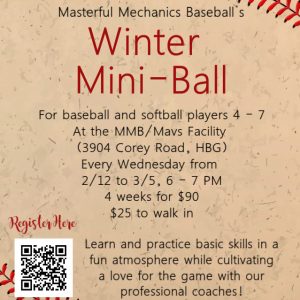 Winter Mini-Ball (4 weeks)