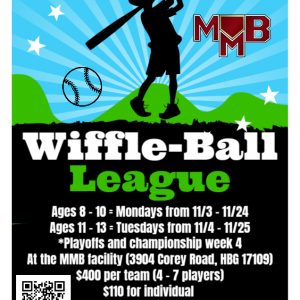 Wiffle-Ball League (Individual Membership)