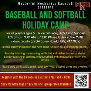 Baseball and Softball Holiday Camp (One Day)