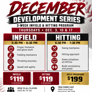 December Development Series (Both Infield and Hitting - 6 Sessions)