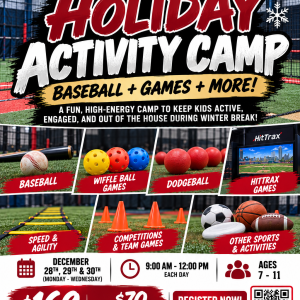 Holiday Activity Camp (All 3 Days)